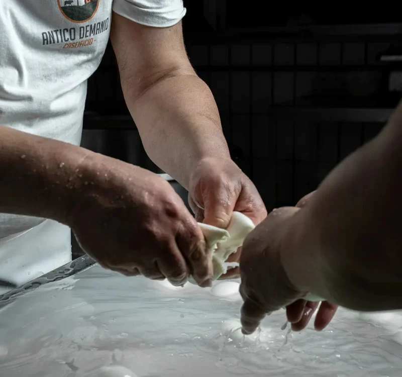 Antico Demanio Produzione